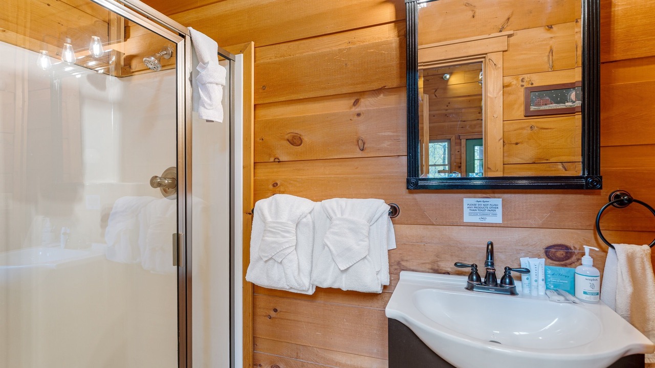 Photo of Bathroom in Smoky Mountains