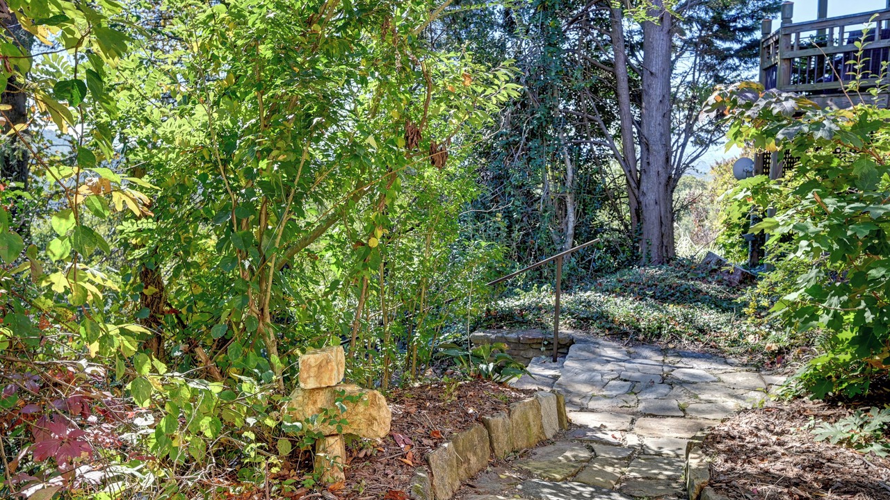 Photo of Outdoor in Asheville