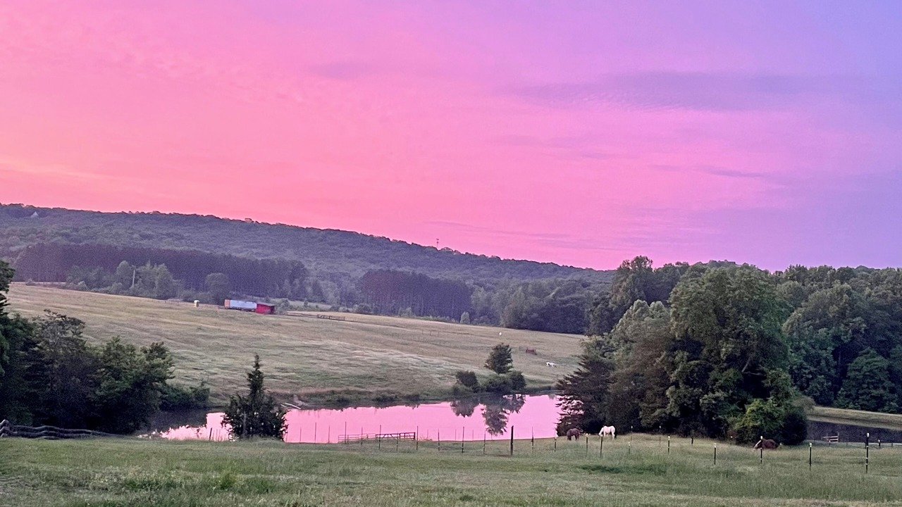 Photo of Others in Tigerville