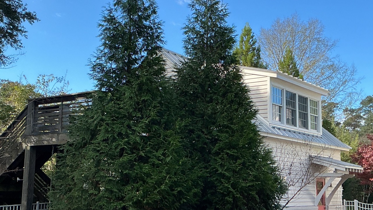 Photo of Outdoor in Wilmington