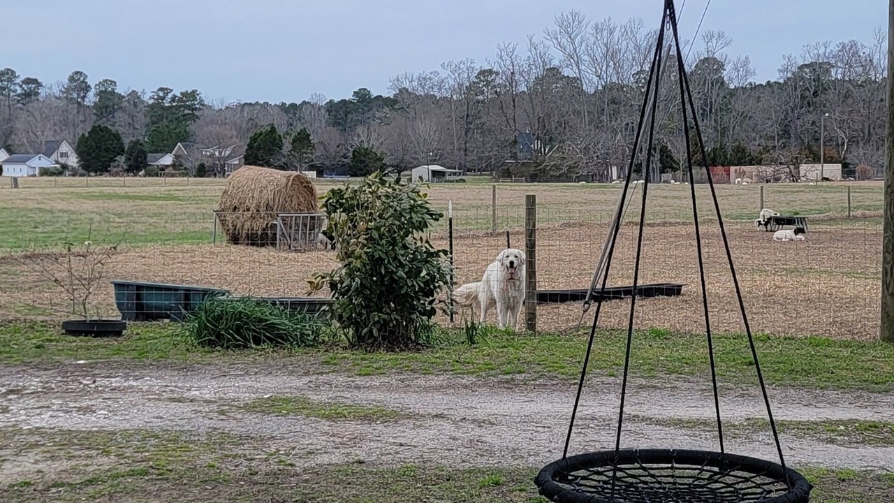 Photo of Others in Whiteville