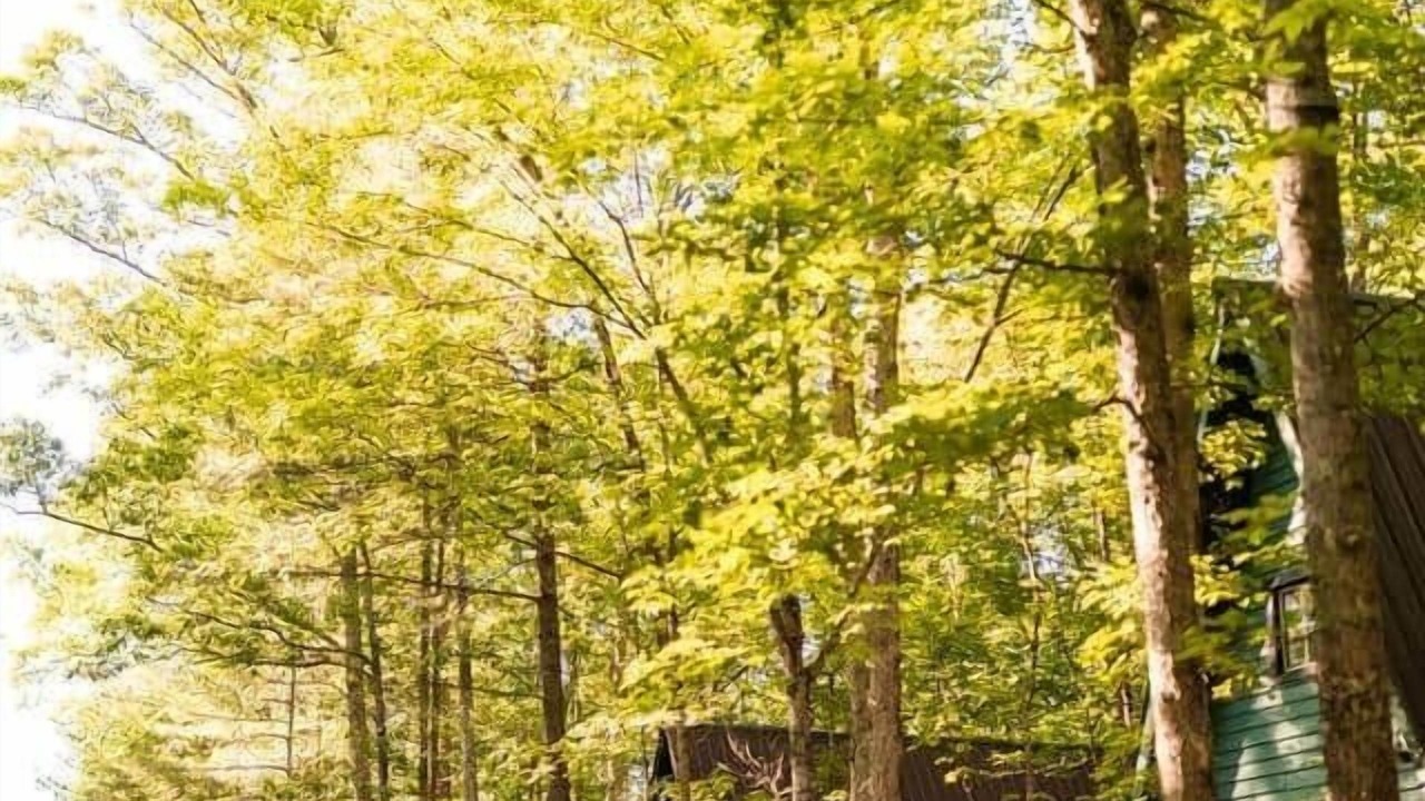 Photo of Outdoor in Slade