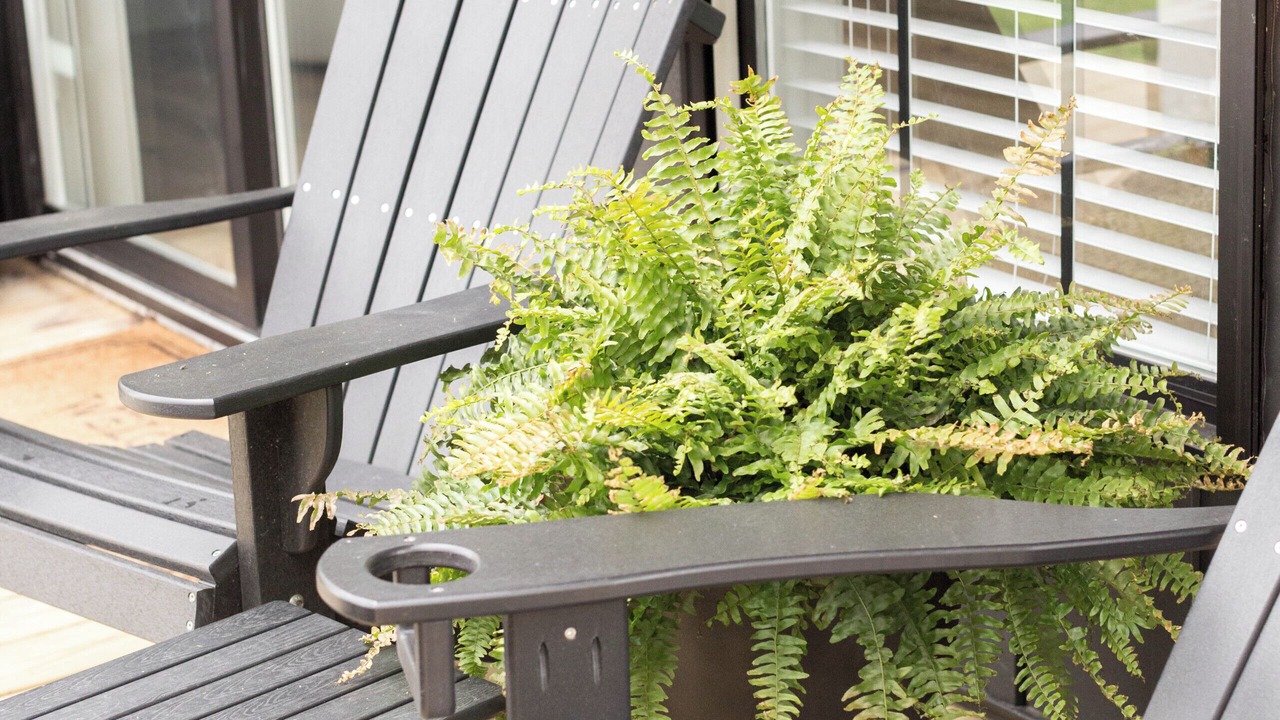 Photo of Patio Balcony in Milroy
