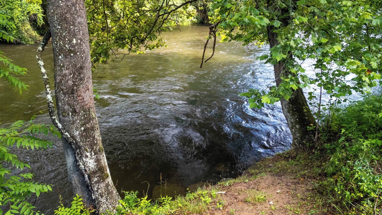 Photo of Others in Cullowhee