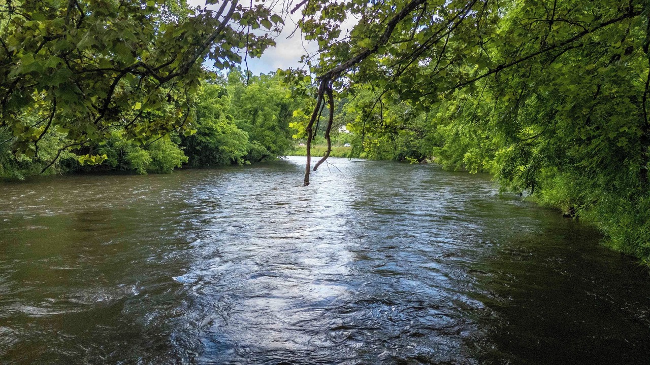 Photo of Others in Cullowhee