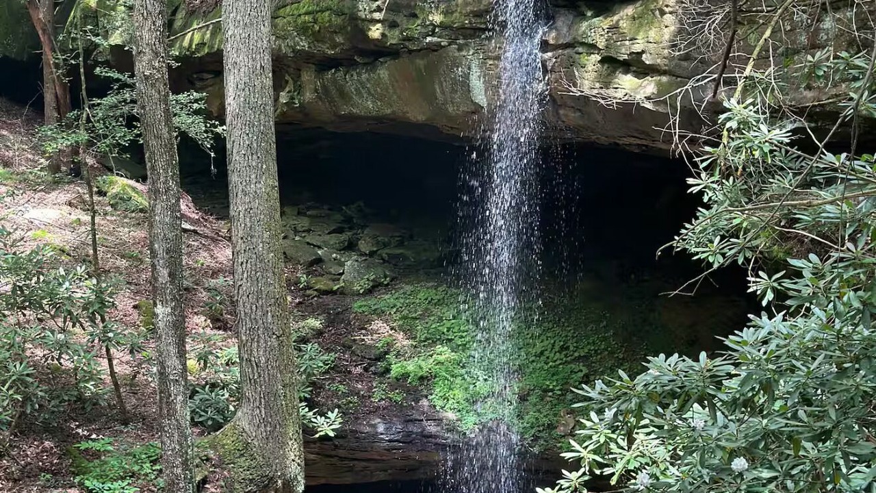 Photo of Others in Corbin