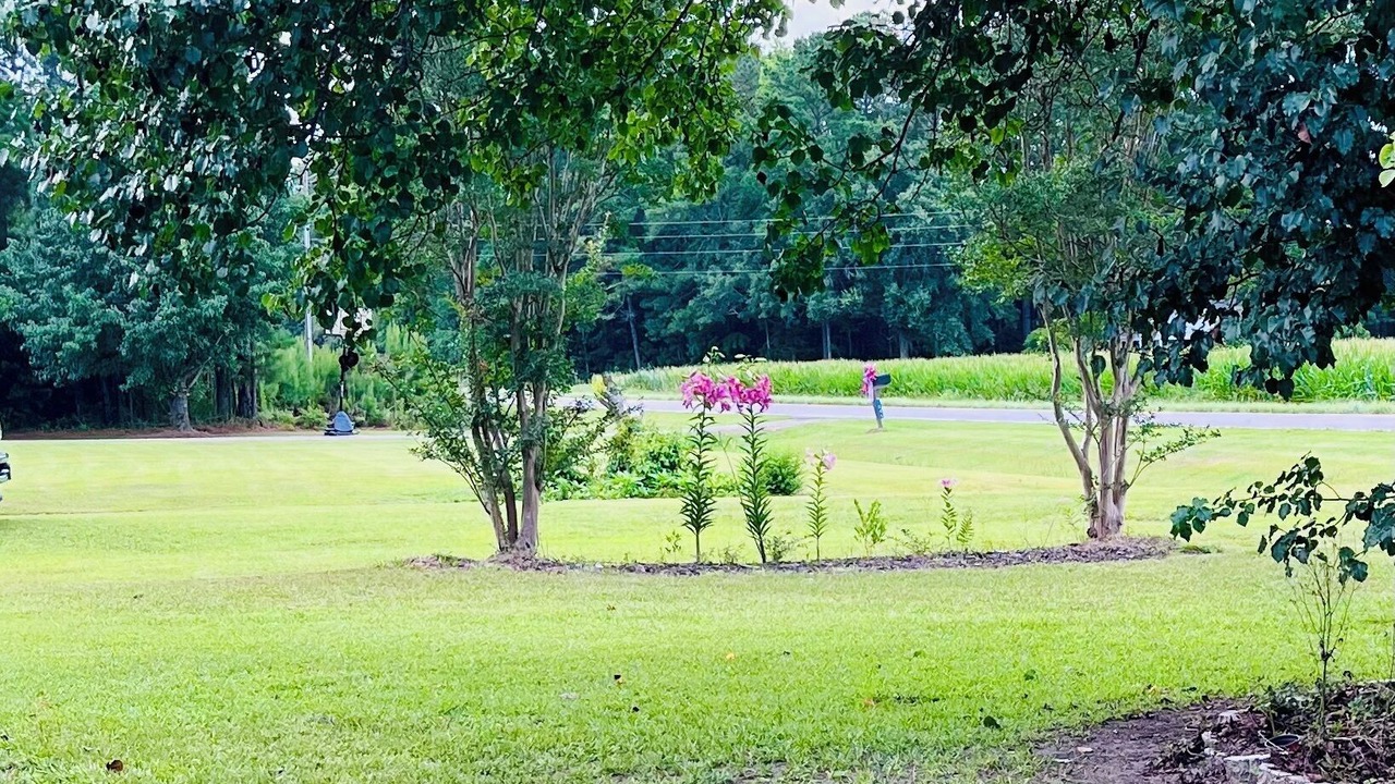 Photo of Outdoor in Tabor City