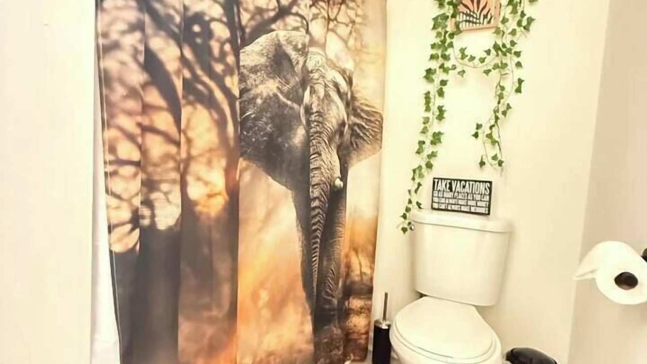 Photo of Bathroom in Anderson
