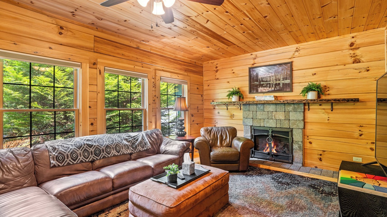 Photo of Livingroom in Pisgah Forest