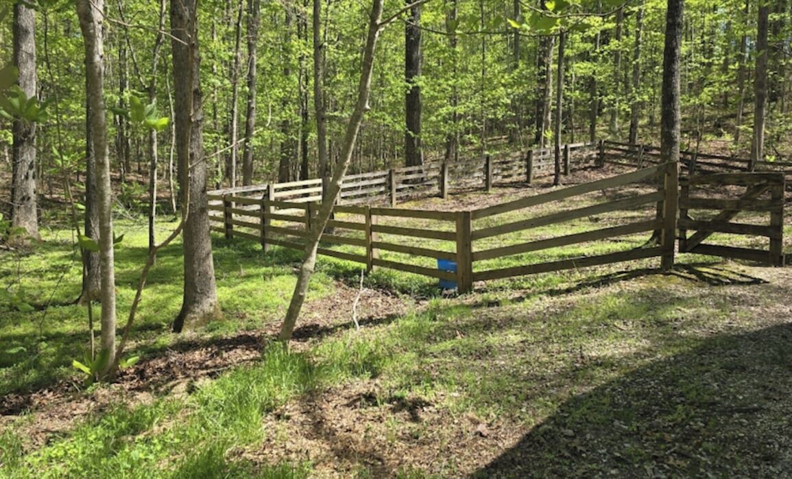 Photo of Outdoor in Oneida