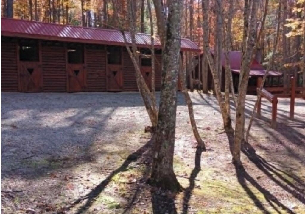 Photo of Outdoor in Oneida
