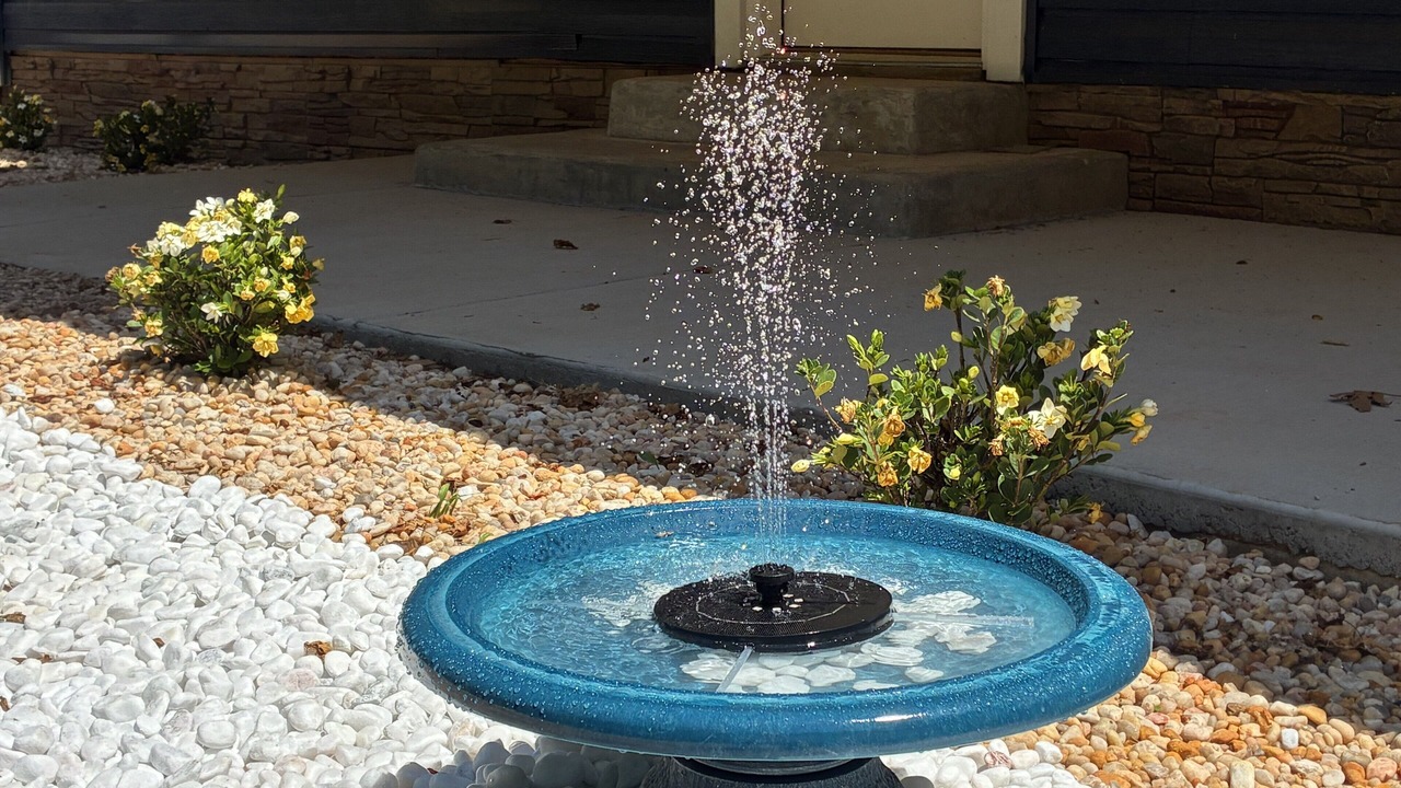 Photo of Outdoor in Roxboro