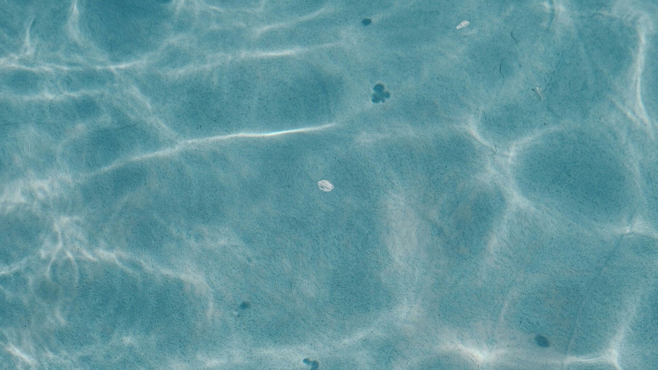 Photo of Outdoor in North Carolina Coast