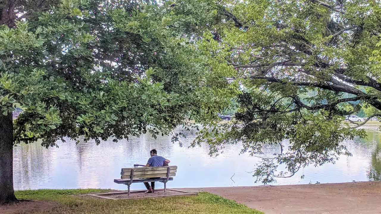 Photo of Outdoor in Shelby Hills