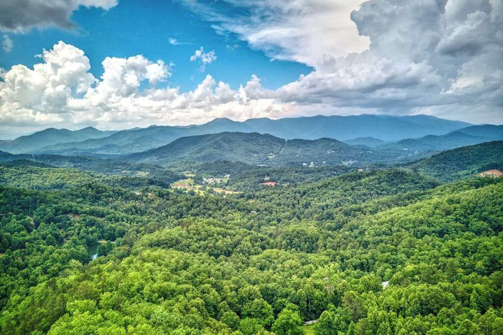 Photo of Others in Sylva