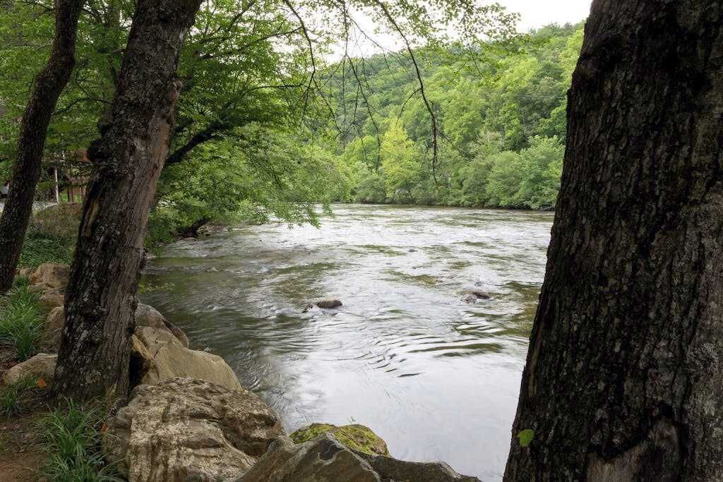 Photo of Others in Sylva