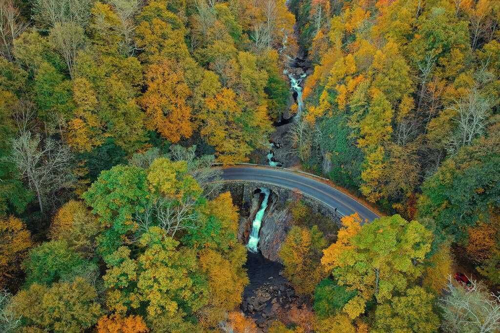 Photo of Outdoor in Flat Rock