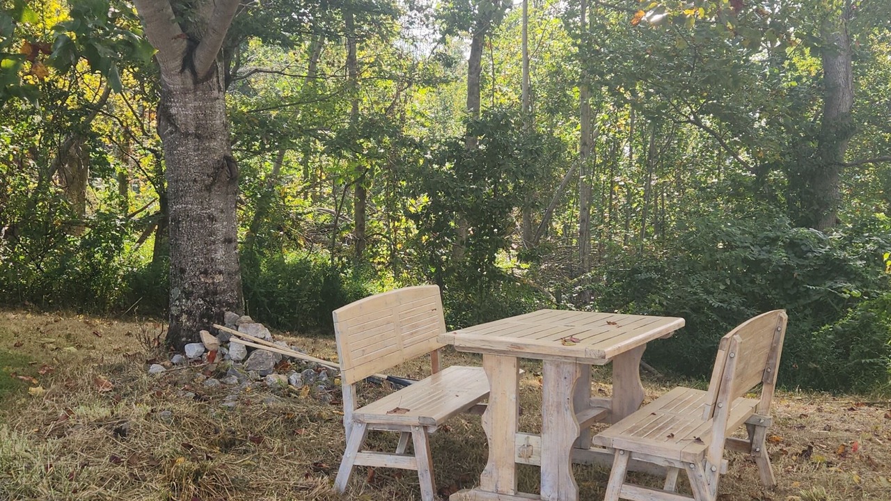 Photo of Outdoor in North Fork