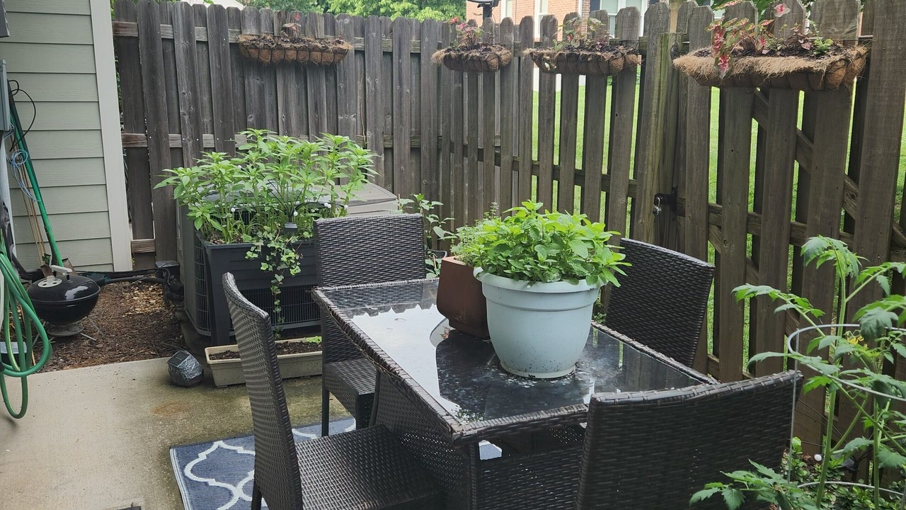 Photo of Outdoor in Hurwood Heights