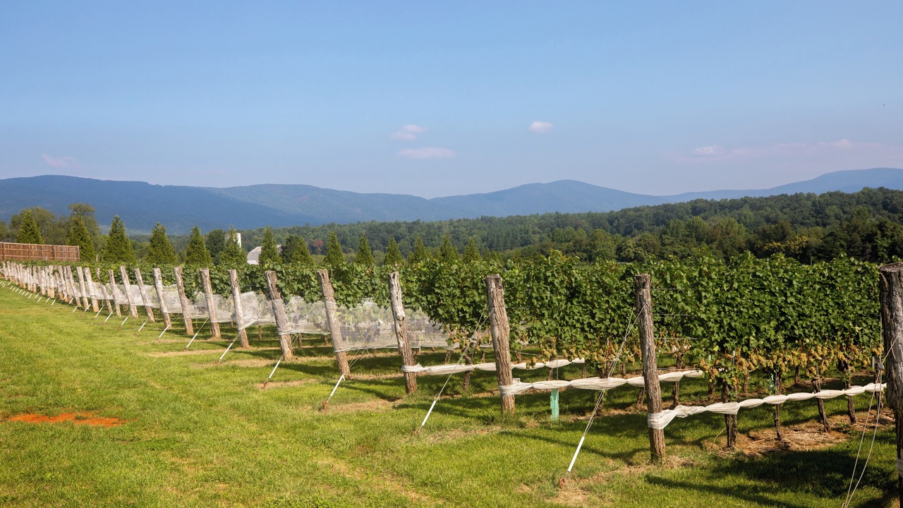 Photo of Outdoor in White Hall