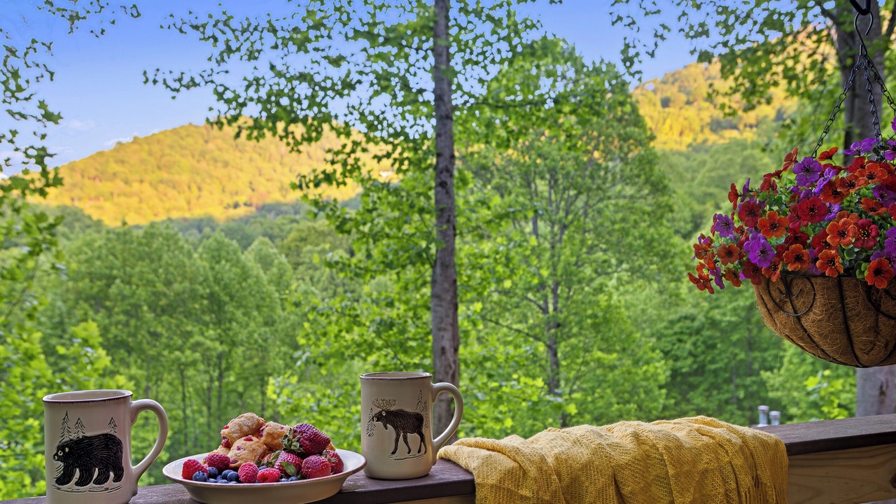 Photo of Outdoor in Maggie Valley