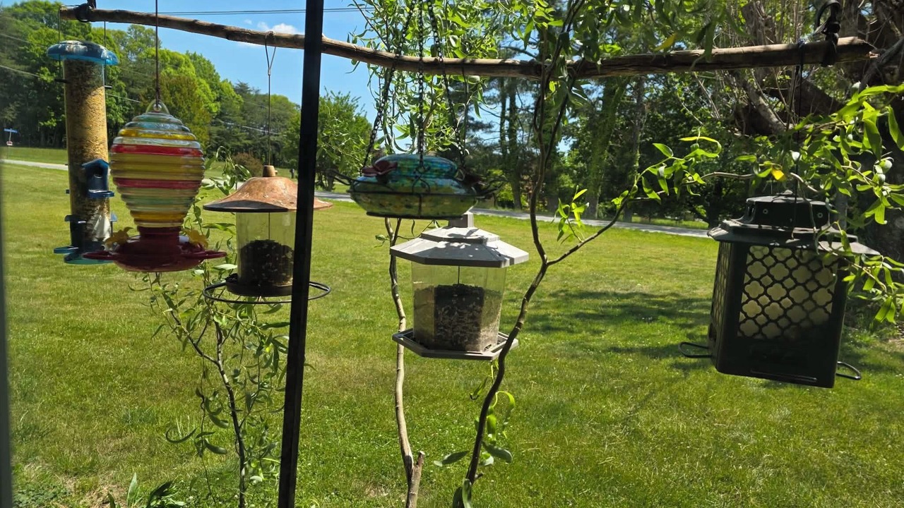 Photo of Outdoor in Peters Creek