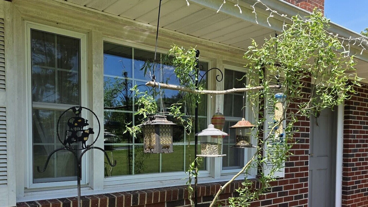 Photo of Outdoor in Peters Creek