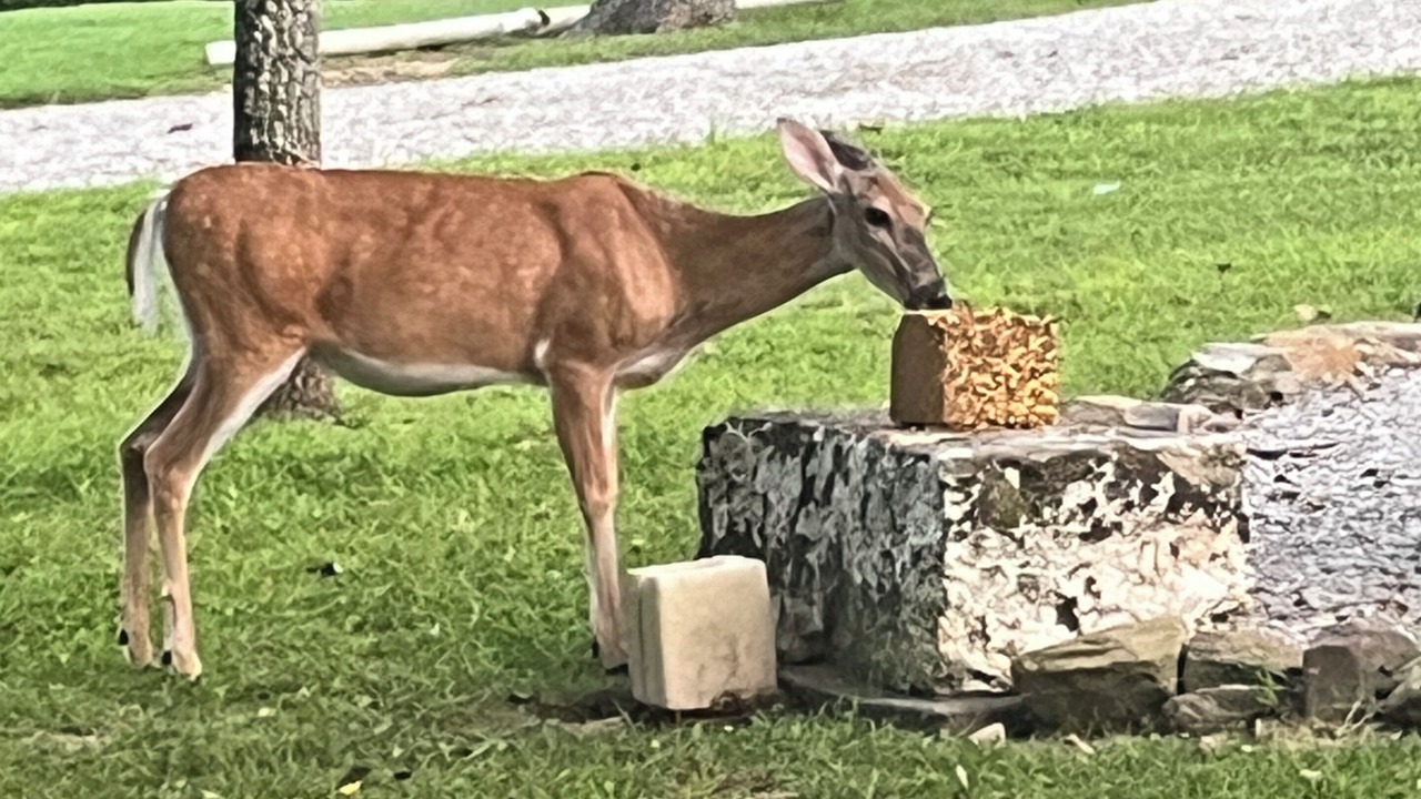 Photo of Outdoor in Falls of Rough