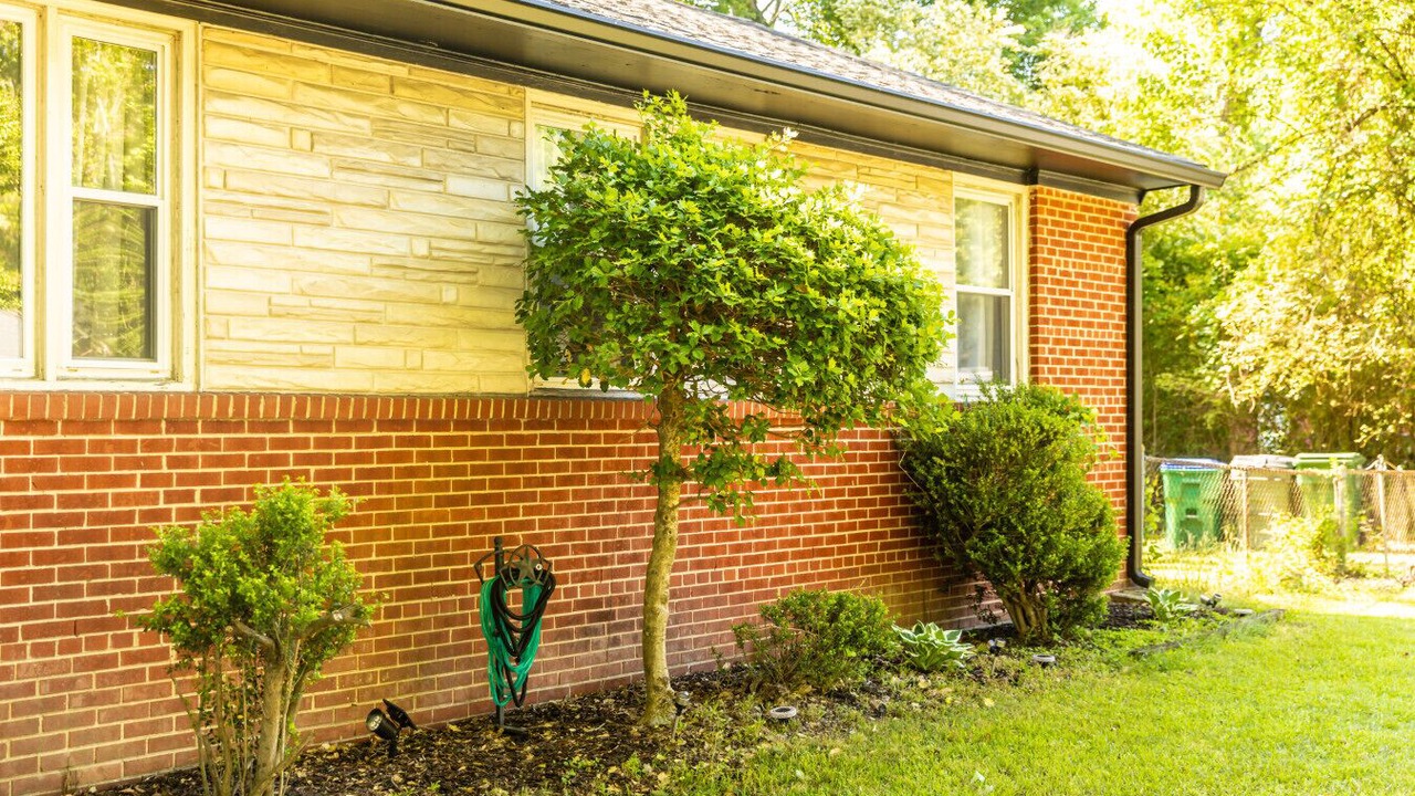 Photo of Outdoor in South Richmond
