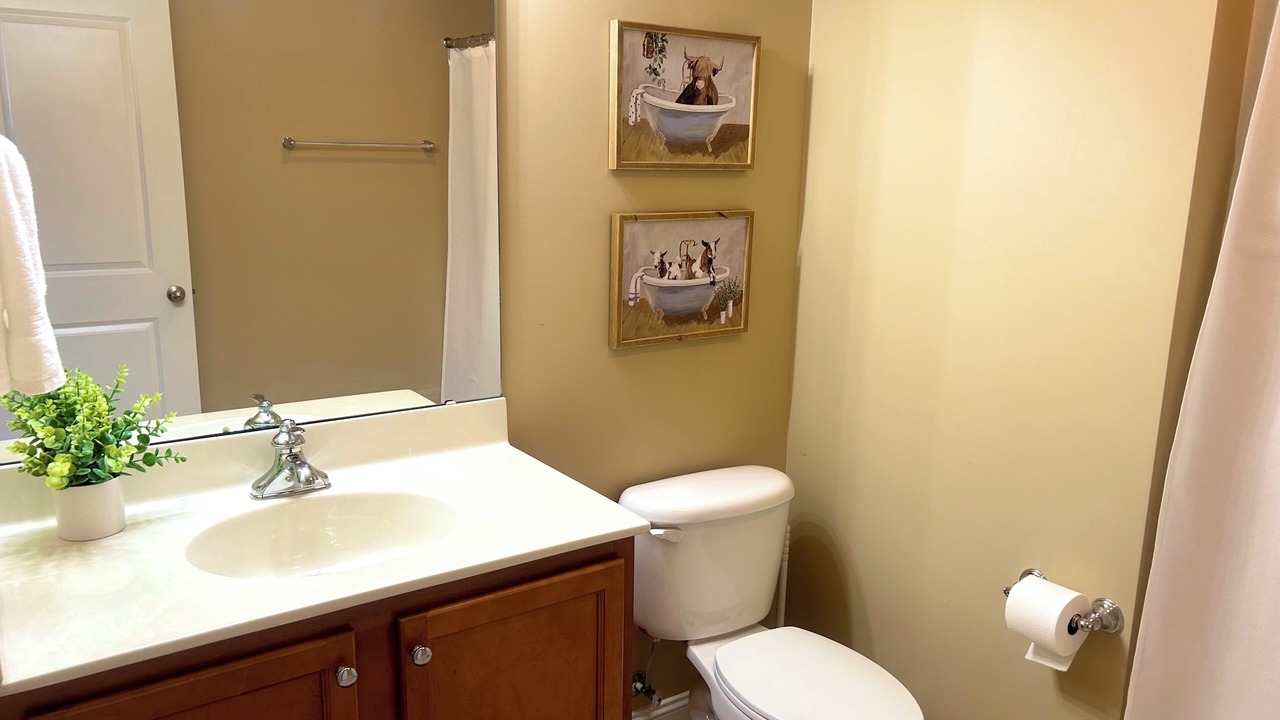 Photo of Bathroom in Greenville