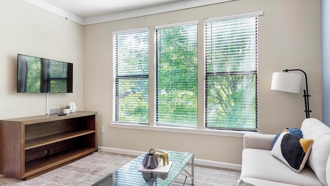 Photo of Livingroom in Paw Creek