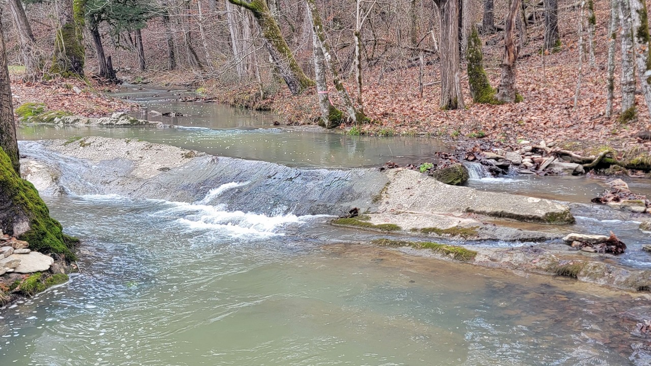 Photo of Others in Maynardville