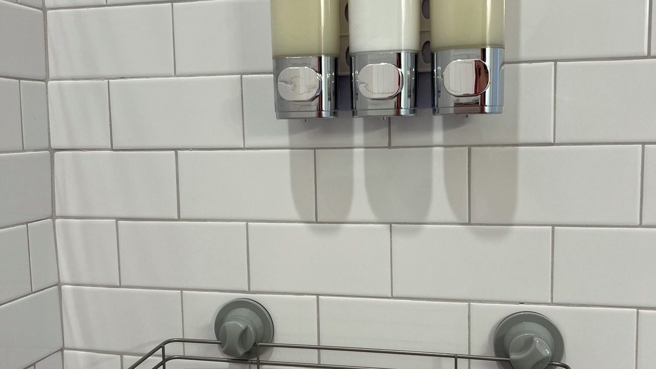 Photo of Bathroom in Issue