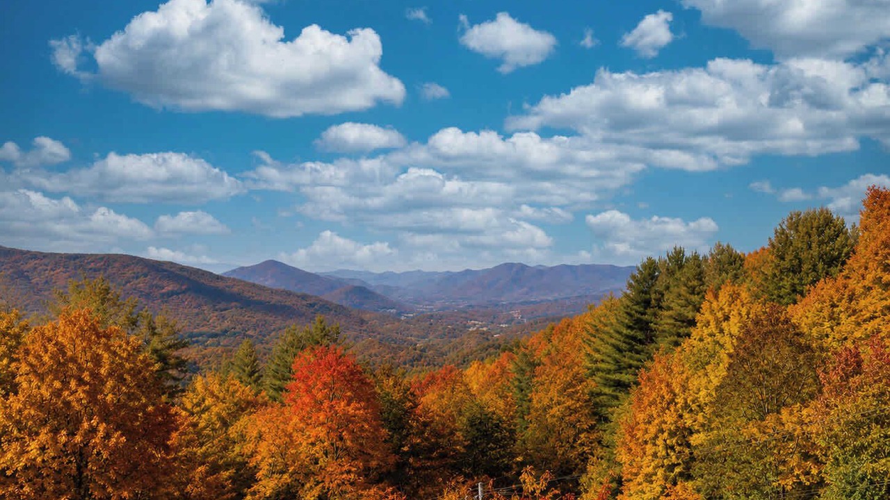Photo of Others in Waynesville