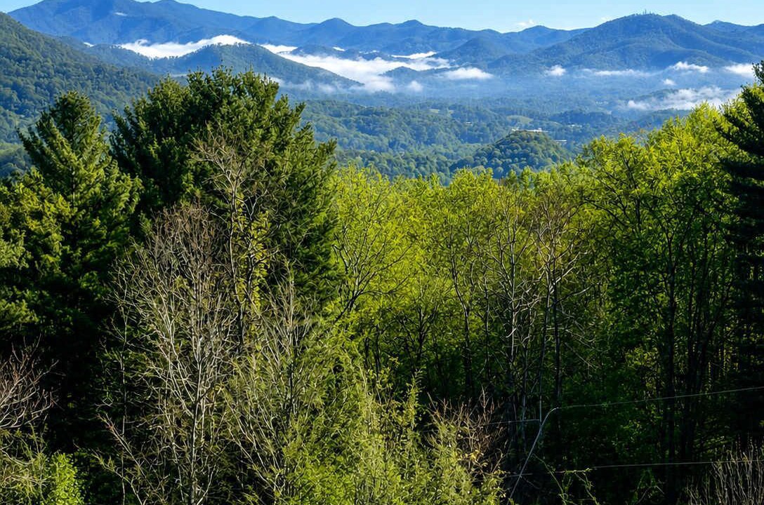 Photo of Others in Waynesville
