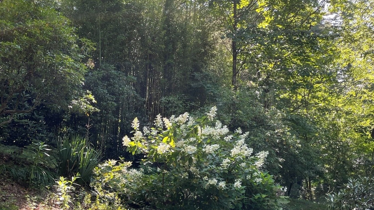 Photo of Outdoor in Lake Sequoyah