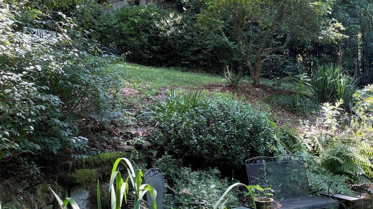 Photo of Outdoor in Lake Sequoyah