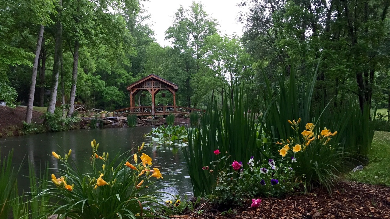 Photo of Outdoor in Pickens