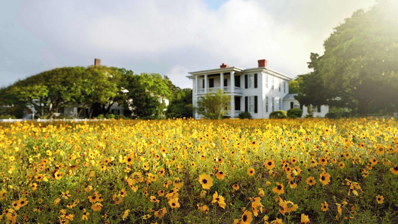 Photo of Outdoor in Morehead City
