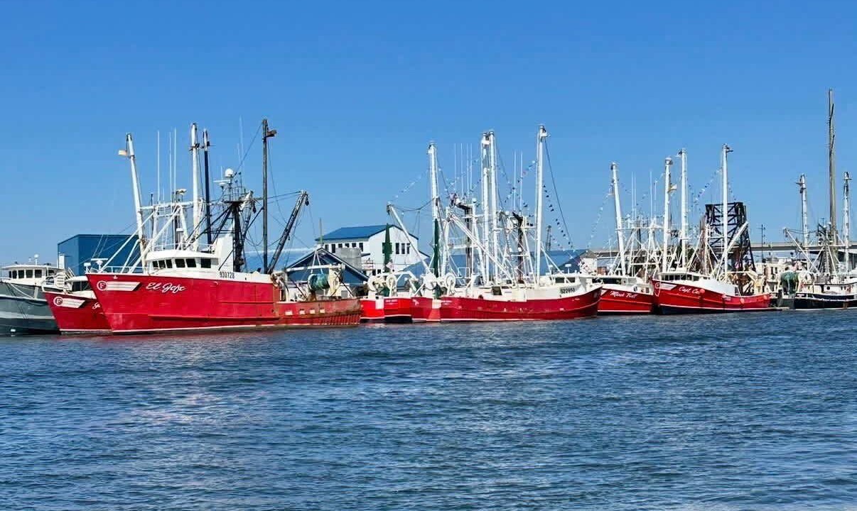 Photo of Others in Morehead City