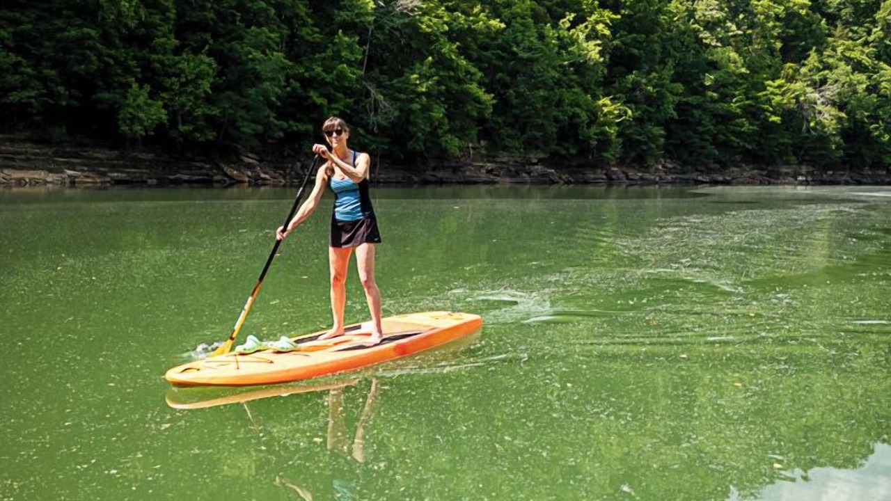 Photo of Others in Jamestown