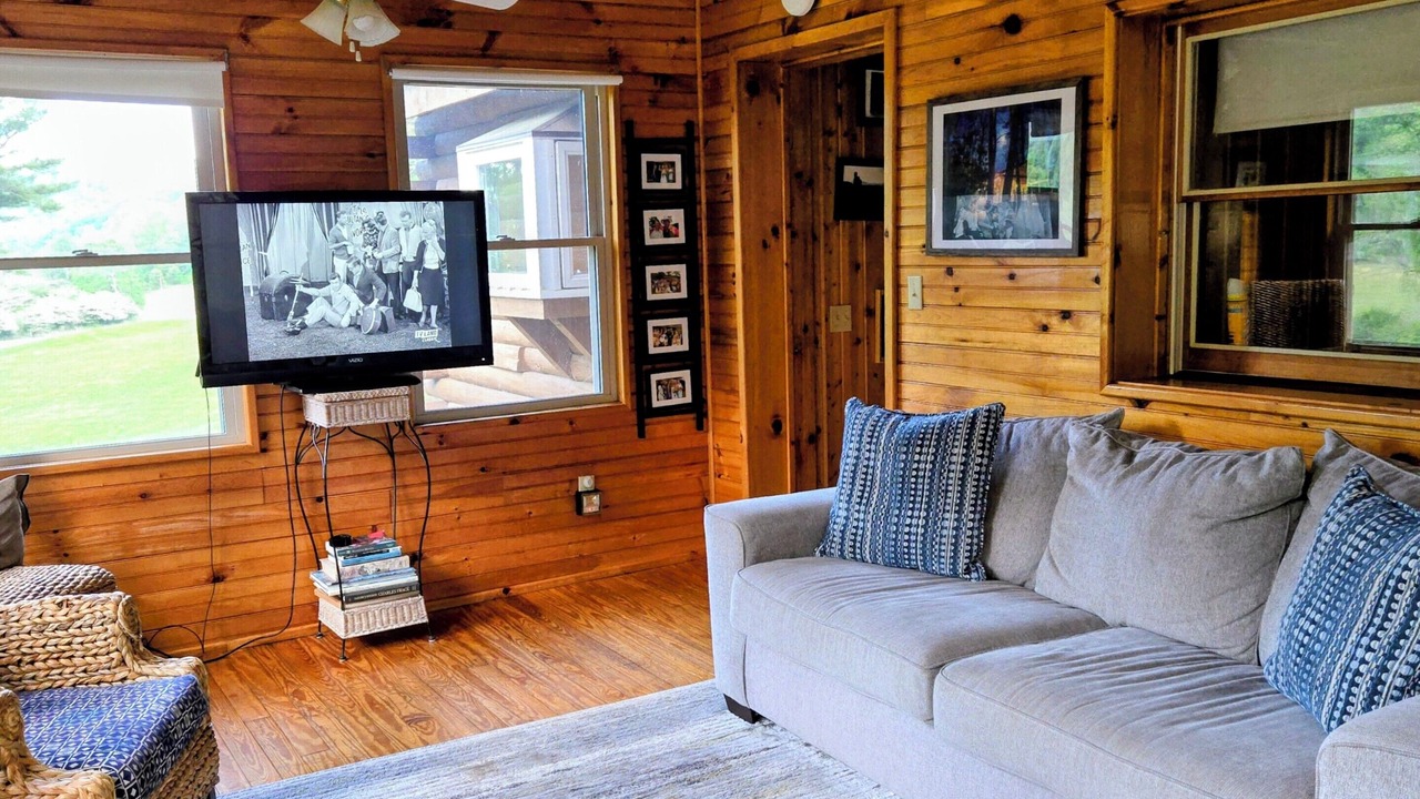 Photo of Livingroom in Dugspur
