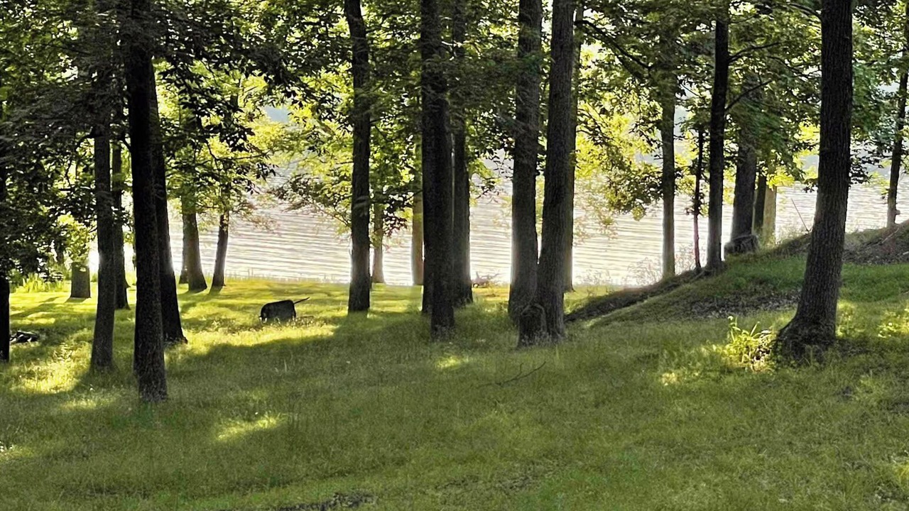 Photo of Others in Benton