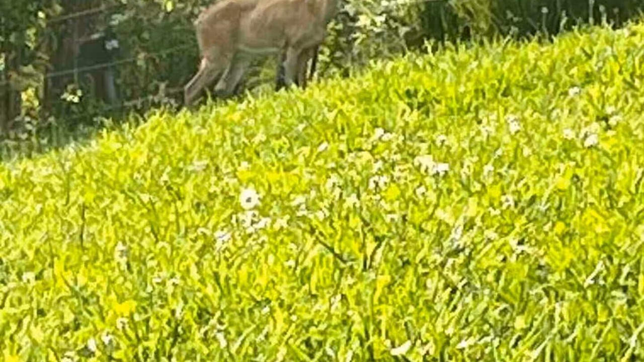 Photo of Others in East Bernstadt