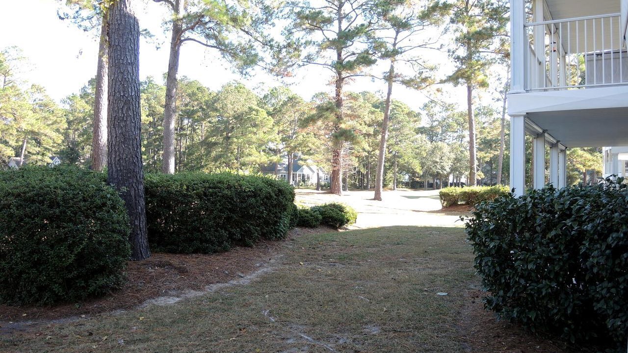 Photo of Outdoor in Calabash