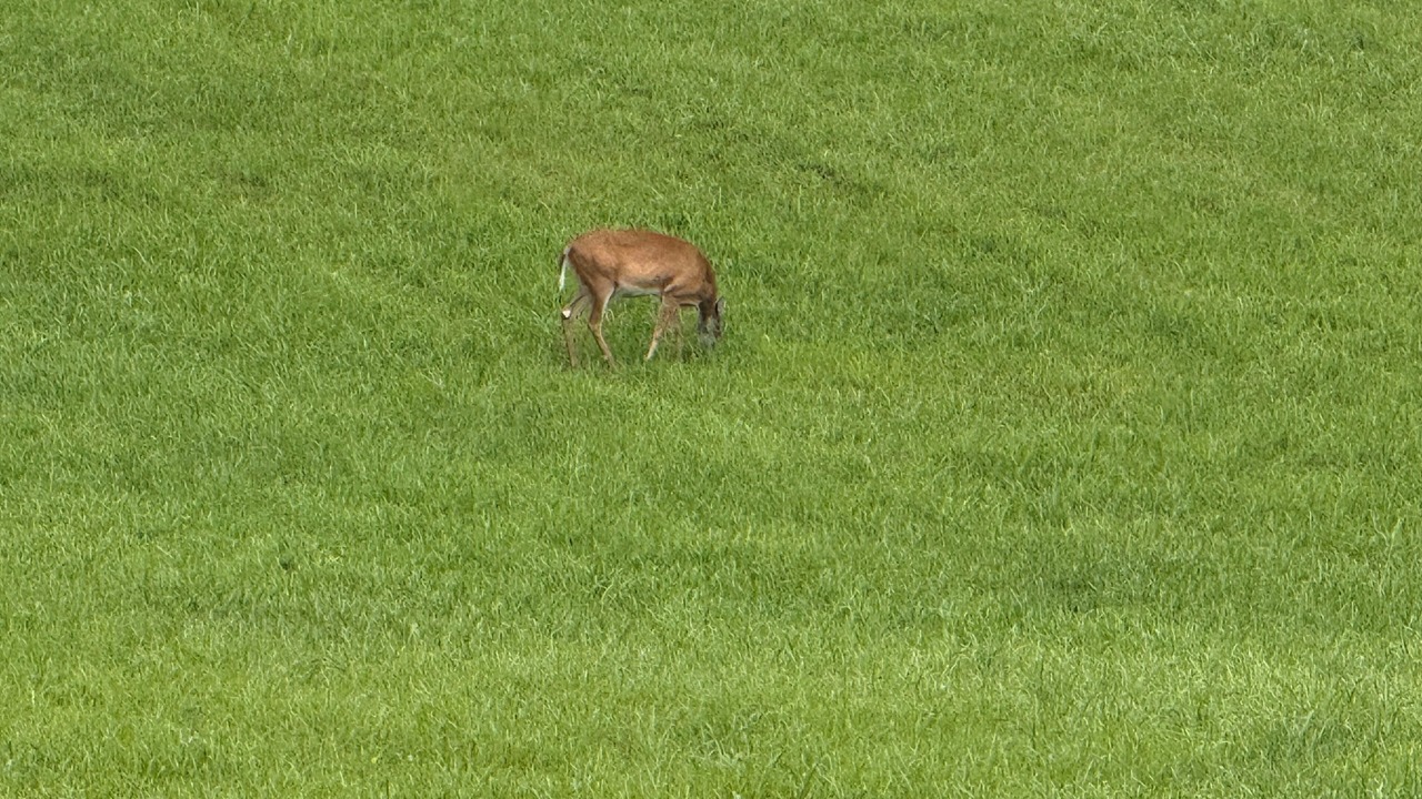 Photo of Others in Corbin