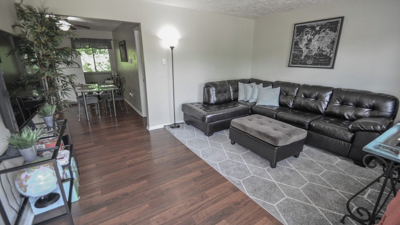 Photo of Livingroom in Elsmere