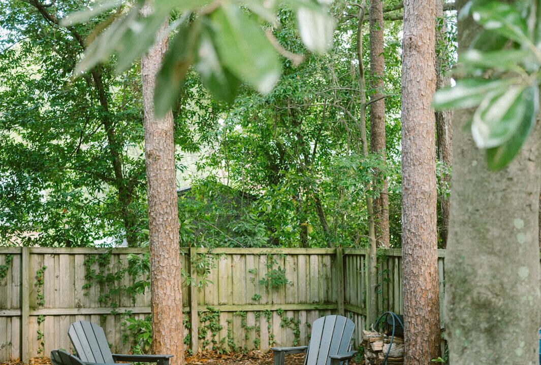 Photo of Outdoor in Wilmington