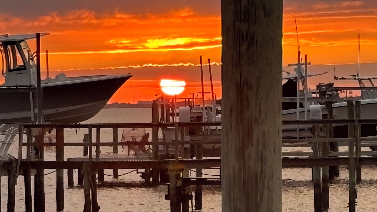 Photo of Others in Harkers Island