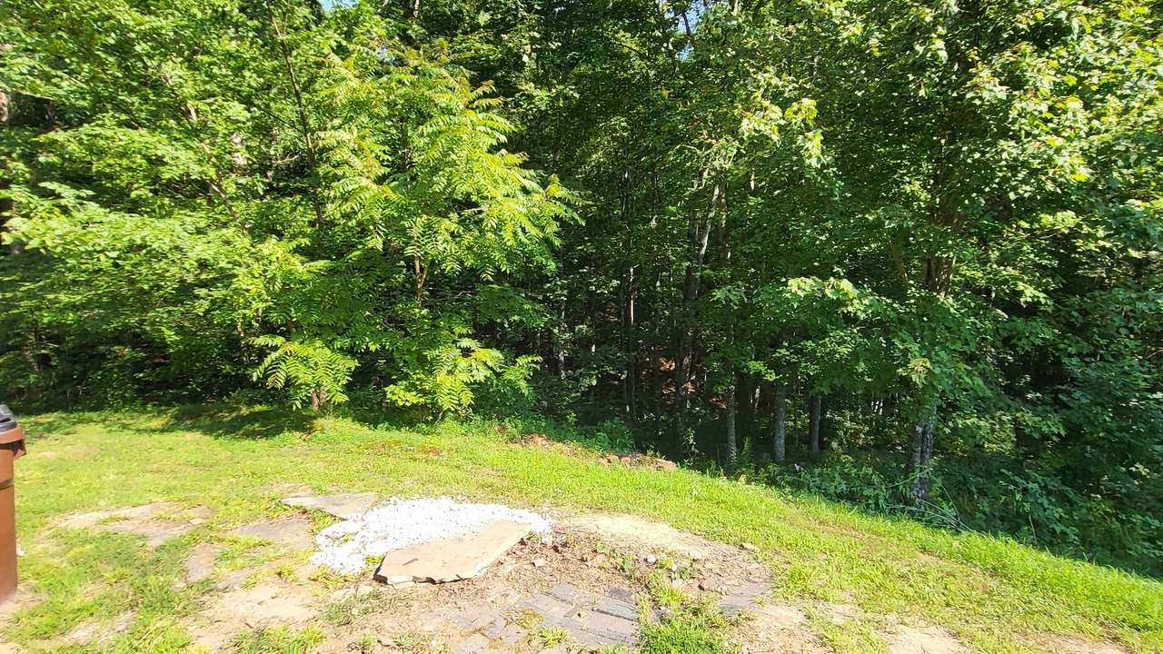 Photo of Outdoor in East Bernstadt